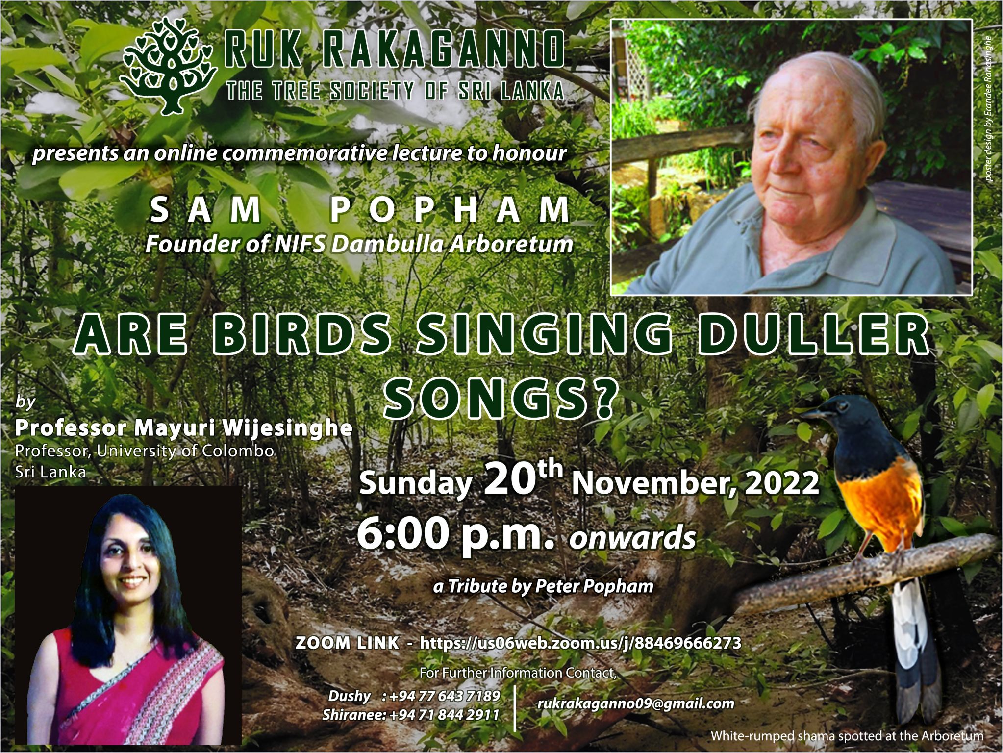 'Are birds singing duller songs' (Ruk Rakaganno, tree talk/20th November 2022)
