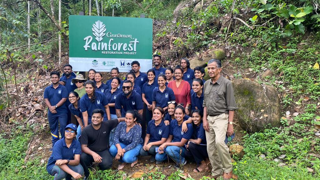 Tree planting volunteer activity on Sinharaja by Ruk Rakagano and JKH